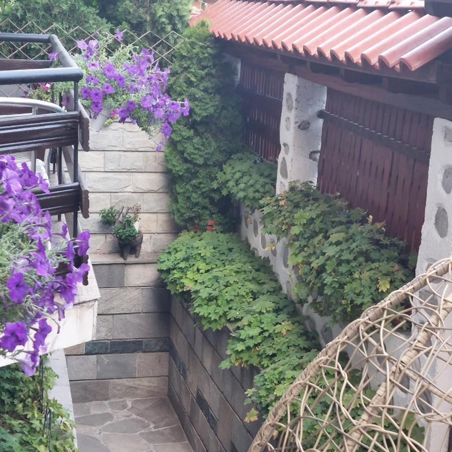 Guest House Planinski Zdravets Банско Экстерьер фото